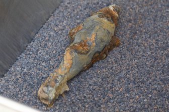 Weltkriegsgranate in Gornsdorf geborgen - Bauarbeiter haben am Dienstag eine verschossene Nebelgranate im Flussbett  neben der Hauptstraße in Gornsdorf gefunden.