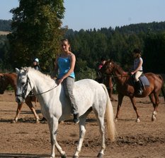 Reiterin auf Pferd