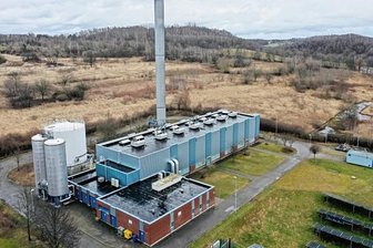 Wendehälse müssen für Solaranlage nicht umziehen - An der Straße Am Kraftwerk soll ein Solarpark entstehen. 