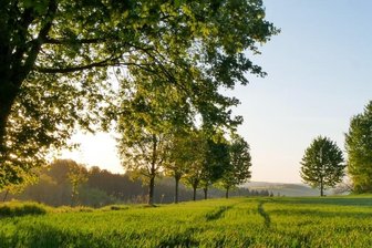 Wenn der Umweg zum Naturerlebnis wird - 