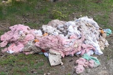 Wenn der Wald zur Müllkippe wird - Müll, der in einem Waldstück bei Markneukirchen illegal entsorgt wurde. Auch alte Matratzen wurden dort gefunden.