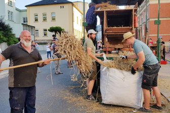 Wenn die Auerbacher Innenstadt zum Feld wird: Hobbybauern fahren am Rathaus die Ernte ein - Jörg Schneider (links) schafft frisches Material für die Getreideverarbeitung heran.