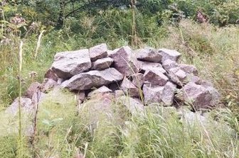 Wenn dunkler Fichtenwald zur grünen Oase mit Tümpeln wird - Künstlich angelegter Steinhaufen als Winterrefugium für Reptilien.