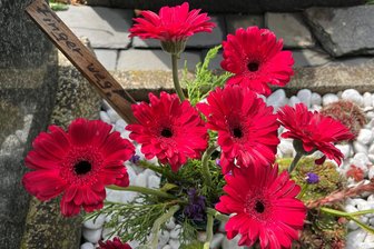 „Wenn ich den erwische...“: Diebe auf Freiberger Friedhöfen unterwegs - Was Witwen berichten - Pinkfarbene Gerbera schmücken ein Grab auf dem Friedhof in Freiberg. Auf einem Holzstück steht „Finger weg!“