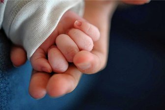 Babys wollen behütet und abgesichert sein. 