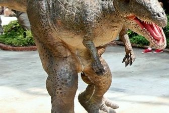 Wenn Saurier nicht ausgestorben wären - Im Foto die Nachbildung eines Velociraptoren in einem Themenpark in Thailand. Die Dinosaurierart galt als vergleichsweise schlau.