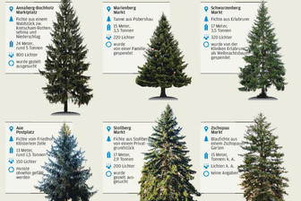Wer hat den schönsten Weihnachtsbaum? - 