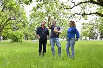 Wer hat die schönste Obstwiese im Vogtland? - Kathrin Korndörfer und ihr Lebenspartner Frank Jorke (links) bekamen im Gespräch mit Matthias Nuss vom Senckenbergmuseum Dresden wertvolle Tipps.