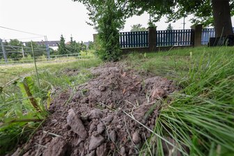 Wer macht denn sowas? Unbekannte stehlen in Hohenstein-Ernstthal Bäume von Schulgrundstück - Mulden in der Erde zeugen von den Lebensbäumen, die gestohlen wurden.