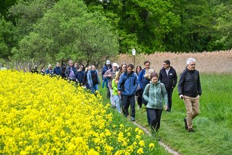 Wer oder was grunzt im Limbacher Teichgebiet? - Auf einem vier Kilometer langen Rundweg können Flora und Fauna des Limbacher Teichgebietes kennengelernt werden.
