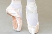 Wer wird neuer Theaterliebling? - Ballettensemble - Theaterliebling 2011