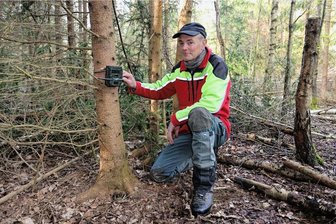 Werdau: Der Wildkatze auf der Spur - Revierförster Stephan Stange kontrolliert regelmäßig die Wildkameras, die in Nähe sogenannter Lockstöcke angebracht sind.