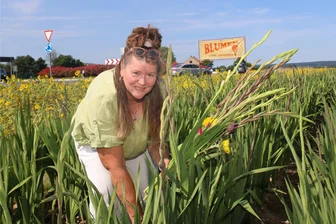 Werdau: Es gibt wieder Blumen für ehrliche Pflücker - Ingeborg Hill aus Brand holt sich nicht zum ersten Mal Blumen am Kreisverkehr Werdau-Sorge.