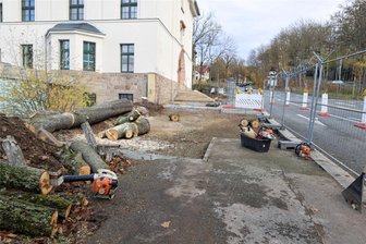 Werdau: Laubbäume am Polizeirevier aus Sicherheitsgründen gefällt - Vor wenigen Tagen sind die Laubbäume am ehemaligen Amtsgericht gefällt worden.