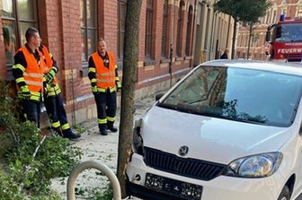Werdauer Feuerwehren rücken dreimal aus - Die Einsatzkräfte mussten nach einem Unfall Betriebsmittel binden und Baumreste entfernen.