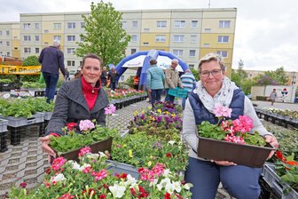 Werdauer Frühlingstradition: Balkonpflanzen-Tag mit Extra-Service - Bunt wird es am 25. April wieder zur Pflanzenaktion auf dem Werdauer Kranzberg.