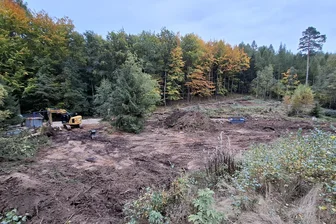 Werdauer Wald bekommt sein Fitness-Refugium: „Der Anblick war zuletzt nicht mehr berauschend“ - So sieht das Gelände derzeit aus, auf dem der Waldsportplatz neu gebaut werden soll. Das nasse Wetter macht den Bauleuten einen Strich durch die Rechnung.