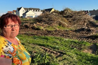 Werdauerin sorgt sich um Vögel und erwirkt Baustopp - Heike Neumann ist fassungslos: Hinter ihrem Grundstück sollten die in der kalten Jahreszeit gerodeten Bäume und Sträucher jetzt beräumt werden. Dabei hat die Brutzeit der Vögel längst begonnen.