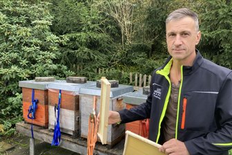 Weshalb Berlin Verpächter von Kleingärten im Vogtland ist - René Thalmann ist seit 20 Jahren Vorsitzender des Kleingartenvereins „Heiterer Blick“, wo er in einem Garten Bienen hält.