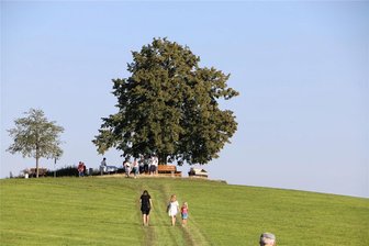 Westvogtländischer Wandertag startet in diesem Jahr in Reuth - An der Reuther Linde. Auch sie wird in diesem Jahr beim Westvogtländischen Wandertag angesteuert.