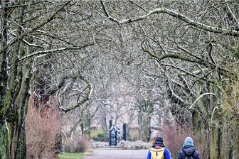 Wetter im März: Wann wird es endlich wieder richtig Frühling? - Schneereste an Bäumen in einem Park: Auch am Mittwoch und Donnerstag kann es in Sachsen wieder schneien. Stabile Frühlingstemperaturen sind weiter nicht in Sicht.