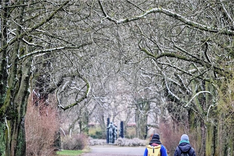 Wetter im März: Wann wird es endlich wieder richtig Frühling? - Schneereste an Bäumen in einem Park: Auch am Mittwoch und Donnerstag kann es in Sachsen wieder schneien. Stabile Frühlingstemperaturen sind weiter nicht in Sicht. 