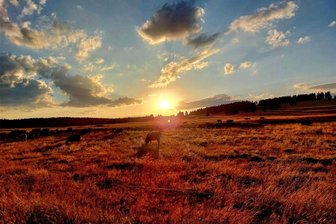 Wetterbilanz für den Juli: Sommer macht schon seit Mitte Juli Pause - Der sommerliche Monatsbeginn des Juli bot Motive für malerische Sonnenuntergänge.