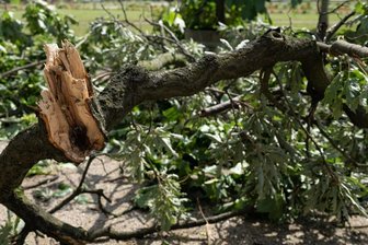 Wetterdienst warnt vor Sturmböen im Erzgebirge - Vorsicht ist geboten vor herabstürzenden Ästen.