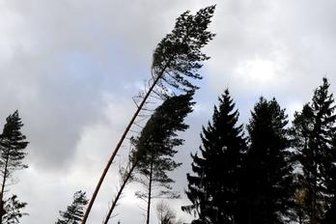 Wetterdienst: Weiterer Starkregen und Gewitter erwartet -