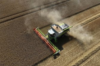 Wetterkapriolen: Landwirte in Mittelsachsen beklagen massive Ertragseinbußen - Weizenernte auf einem Feld bei Topfseifersdorf: Die Erträge beim Getreide fallen in diesem Jahr wegen der Wetterkapriolen unterdurchschnittlich aus.