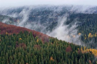 Wetterstation in Morgenröthe-Rautenkranz registriert trübsten November seit mehr als 20 Jahren - Trübes Wetter bestimmte den November 2023 im oberen Vogtland. Die Sonne zeigte sich nur 23 Stunden.