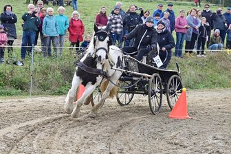 Wettkämpfe mit Pferd und Kutsche: Gibt‘s in Klingenthal bald überregionale Turniere im Hindernisfahren? - Curley-Sue Pöllmann aus Gopplasgrün gewann mit ihrer Mutter Nicole als Beifahrerin und der Tinkerstute Loraine das Hindernisfahren.
