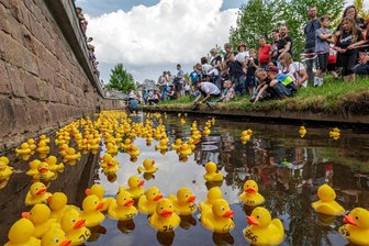 Wettschwimmen der quietschgelben Gummienten: Schafft Neuwürschnitz mehr als 250 Starter? - Entenrennen machen Spaß –so wie das in Oberlungwitz 2023. Nun startet auch eins in Neuwürschnitz.