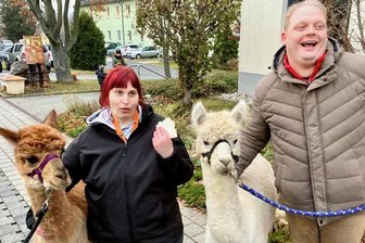Wichtel leisten in Bad Schlema ganze Arbeit - Patricia Günther und Mathias Lehmann wohnen wie 40 weitere behinderte Menschen im Heim der Diakonie in Bad Schlema. Sie alle erlebten eine tolle Adventsüberraschung - inklusive Alpaka-Besuch.