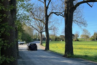 Wichtige Verbindung ins Obere Vogtland doch früher für den Verkehr frei - Die Bäume auf der stadtauswärts rechten Seite der Raasdorfer Straße konnten erhalten werden.