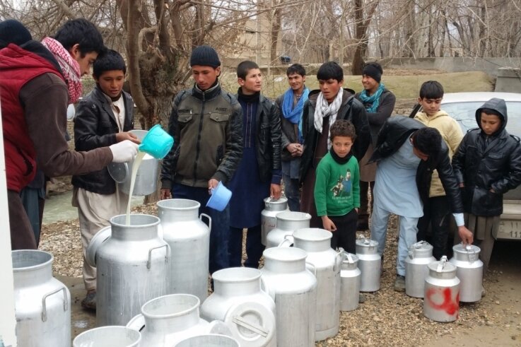 Wie afghanische Bauern nun digital lernen - Afghanische Milchbauern bringen die mit eigenen Kühen erzeugte Milch zur Sammelstelle. Sauberkeit ist dabei oberstes Gebot. 