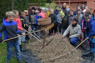 Wie aus Korn Brot wird -