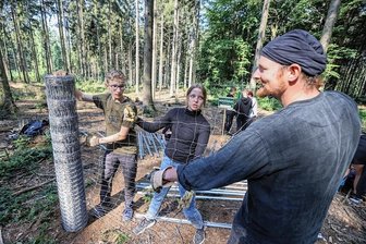 Wie Burgstädter Gymnasiasten ihren Schulwald gegen Wildverbiss schützen - Die Burgstädter Gymnasiasten Til Sellenk und Helena Irmscher bauen mit Lehrer Falk Geißler einen Zaun gegen Wildverbiss. Foto: Toni Söll/Archiv