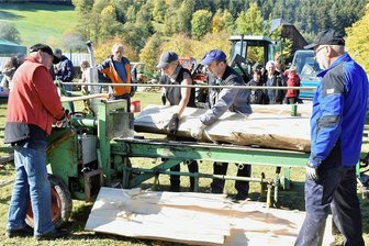 Wie das Freilichtmuseum Vogtland in die Zukunft gehen will - Das Freilichtmuseum Vogtland lebt von der Dauerausstellung und von Thementagen - so beim Holztag in Eubabrunn mit Heinrich Schmidt, Ulrike Hoyer, Reiner Hüttel und Gunther Bauer (von links) beim Holzspalten. 