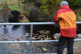 Wie die Hochmoore im Revier Grünheide gerettet werden - Am Moor oberhalb des Kleinen Hirschteiches wurde voriges Jahr beim Straßenbau der Damm erhöht.