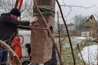 Wie ein Frankenberger zum Berliner Stadtschloss kam - Johannes Dippmann versetzt mit einem Kollegen einen "Summstein" auf der Frankenberger Kulturinsel am Bahnhof.