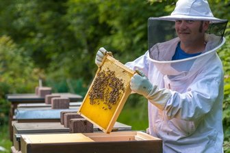 Wie ein Landwirt das Imkern für sich entdeckt - Hobbyimker Martin Freier schaut sich eine Honigwabe aus der Nähe an um zu sehen, ob der Honig schon reif ist. Seit 2018 hat der 41-Jährige Bienenvölker im eigenen Garten in Gelobtland. 