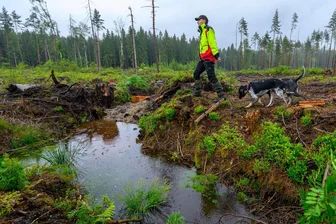 Wie ein Moor neu zum Leben erweckt wird - Johannes Riedel, Leiter des Forstbezirks Eibenstock, inspiziert die Revitalisierung des "Moor am Roten Fluss" im Quellgebiet des Vogtlandsees.
