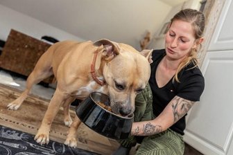 Wie eine Hündin knapp dem Tod entkam - Mit Vitaminpräparaten konnte Cindy Lauckner ihre Hündin Exy wieder aufpäppeln. Eine Woche ging es dem Tier schlecht. Beim Gassi-Gehen wird die Rodewischer Halterin genau auf Giftköder achten. 