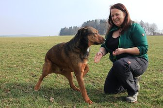 Wie eine Vogtländerin in der Landwirtschaft Fuß gefasst hat: „Frauen trauen sich mehr zu“ - Antje Georgi und Mischlingshund Rocky verstehen sich gut.