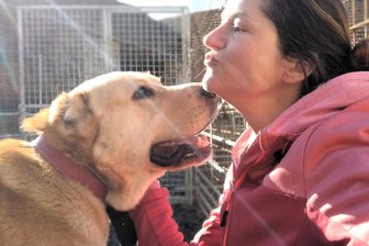Wie es um drei gequälte Hunde aus dem Erzgebirge steht - Tierschützerin Anna Saxlová aus Benešov nad Černou (Beneschau) in Südböhmen kümmert sich derzeit um zwei der Hunde aus České Hamry. Mit viel Liebe wie hier bei Loran.