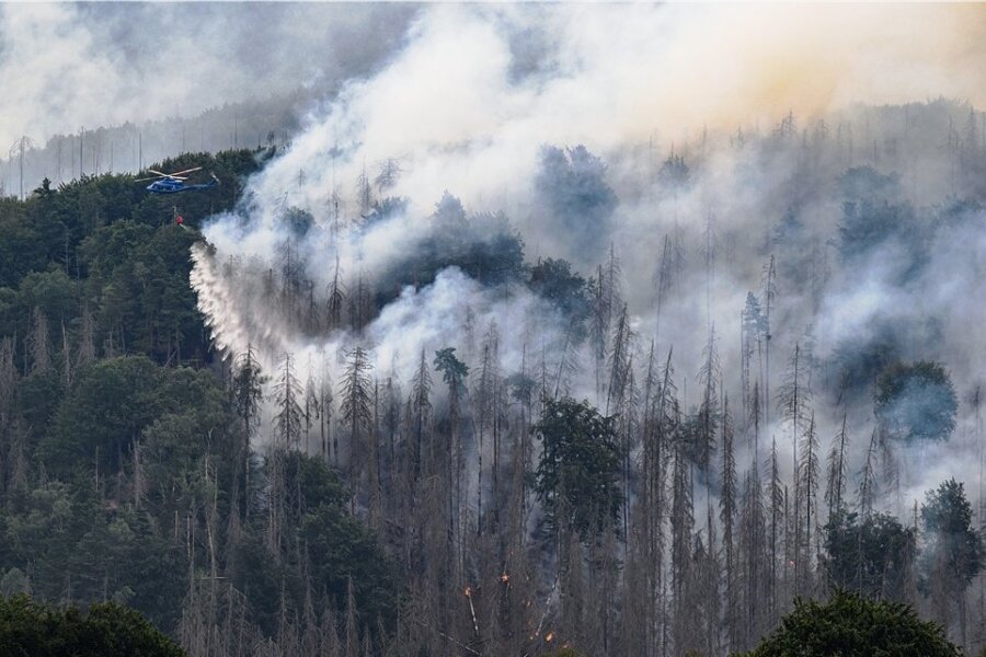 Wie gefährlich ist der Rauch von Waldbränden? - Bei jedem Waldbrand gelangt eine große Menge verschiedener Partikel in die Luft. 