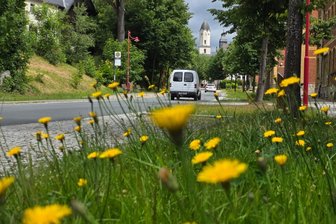 Wie geht es in Bad Brambach jetzt weiter? - Bad Brambach bleibt eigenständig. Damit wird die Wahl eines hauptamtlichen Bürgermeisters im Herbst erforderlich.