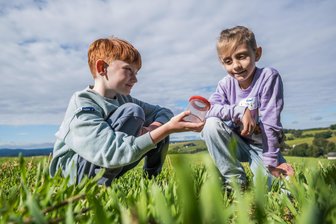 Wie Grundschüler aus Chemnitz die Natur im Erzgebirge entdecken - In der Naturherberge Affalter in Lößnitz suchen Kinder auf dem Feld nach Insekten