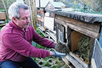 Wie Igel mit dem milden Wetter zurechtkommen - Dieter Oehme, Mitarbeiter der Zschopauer Tierschutzstation, kümmert sich um einen der beiden abgemagerten Igel. 